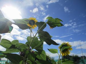 IMG_3218