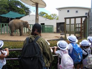 522王子動物園1