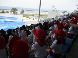年長園外保育9