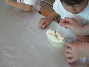 723夏季保育①9