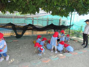 IMG_7893