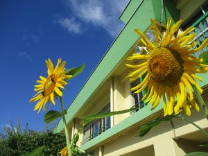 IMG_3212