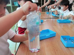 723夏季保育②6