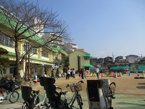 227たんぽぽ1