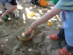 IMG_0316