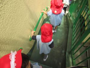 IMG_0890