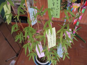 71おはようタイム2 71おはようタイム2