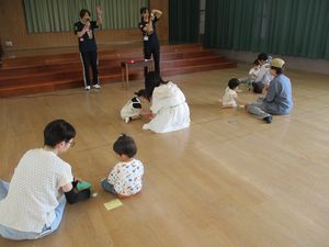 611たんぽぽ6