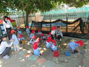 IMG_0315