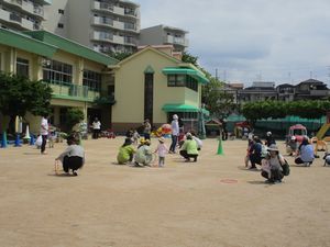 515たんぽぽ3