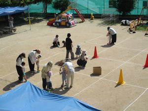 917たんぽぽ2