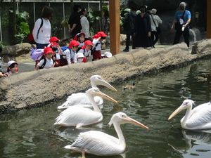 27園外年中12