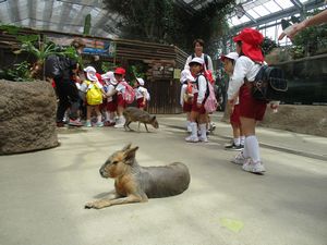 27園外年中5