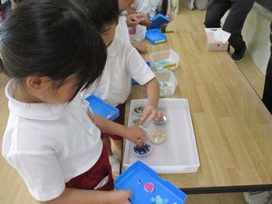 723夏季保育②3