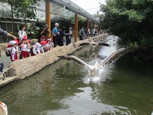27園外年中14