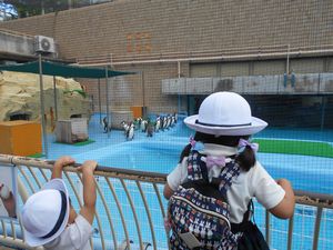 522王子動物園2